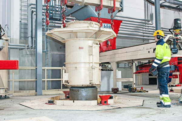 Jumbo_Worker in plant Jumbo_Worker in plant